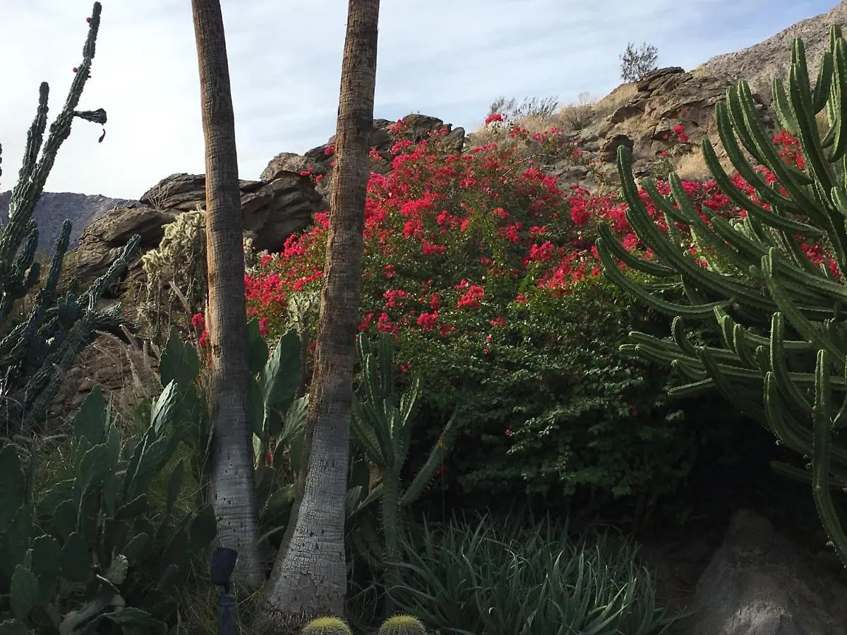 Hotel Getaways At Palm Springs Tennis Club